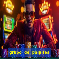 grupo de palpites de futebol whatsapp